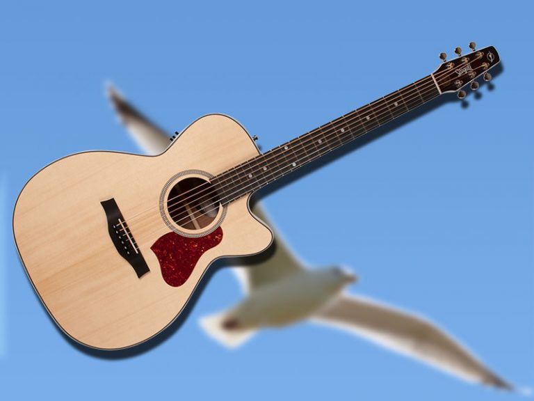 Seagull overhauls Maritime acoustic range