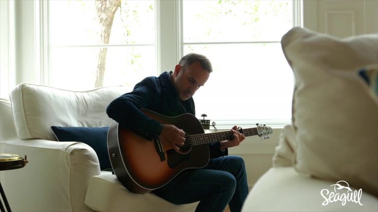 Seagull adds new finishes and new models for revamped Entourage series