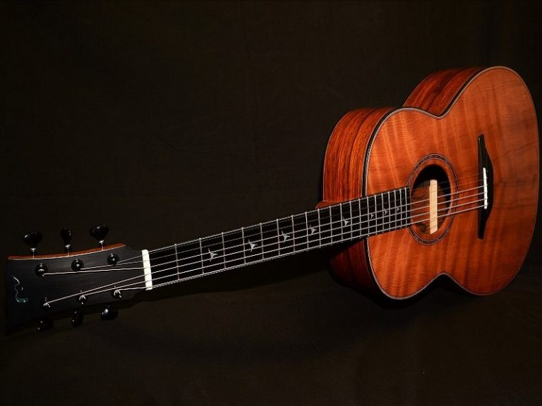McIlroy Guitars Celebrate 20 years
