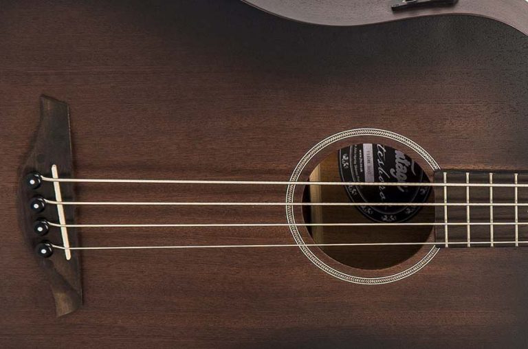 Vintage® add 4 string Electro-Acoustic Bass Guitar To Paul Brett Statesboro’ Series