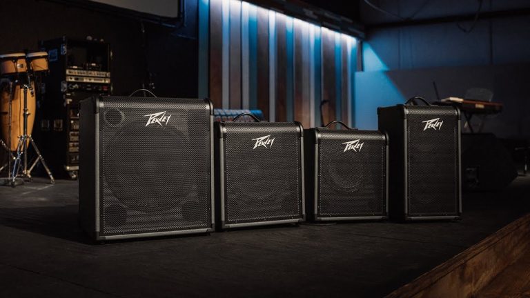 Peavey Max 300 Review