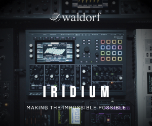 Waldorf Iridium
