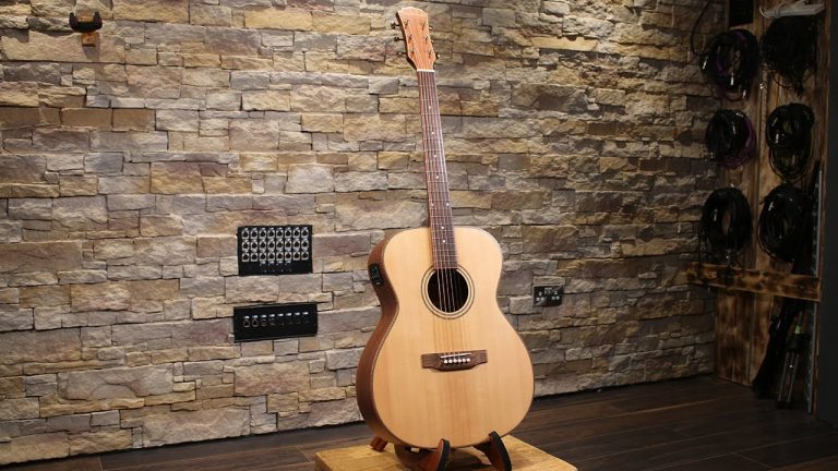 Freshman Guitars FA Ltd Spruce OM 20th Anniversary Edition Review